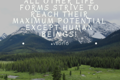 All Life forms Strive to their Maximum Potential - Victor Botto